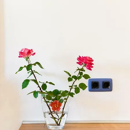 Apartment Bosa